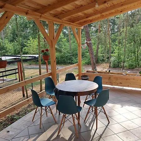 Lesne Zacisze Villa Wijewo Exterior photo